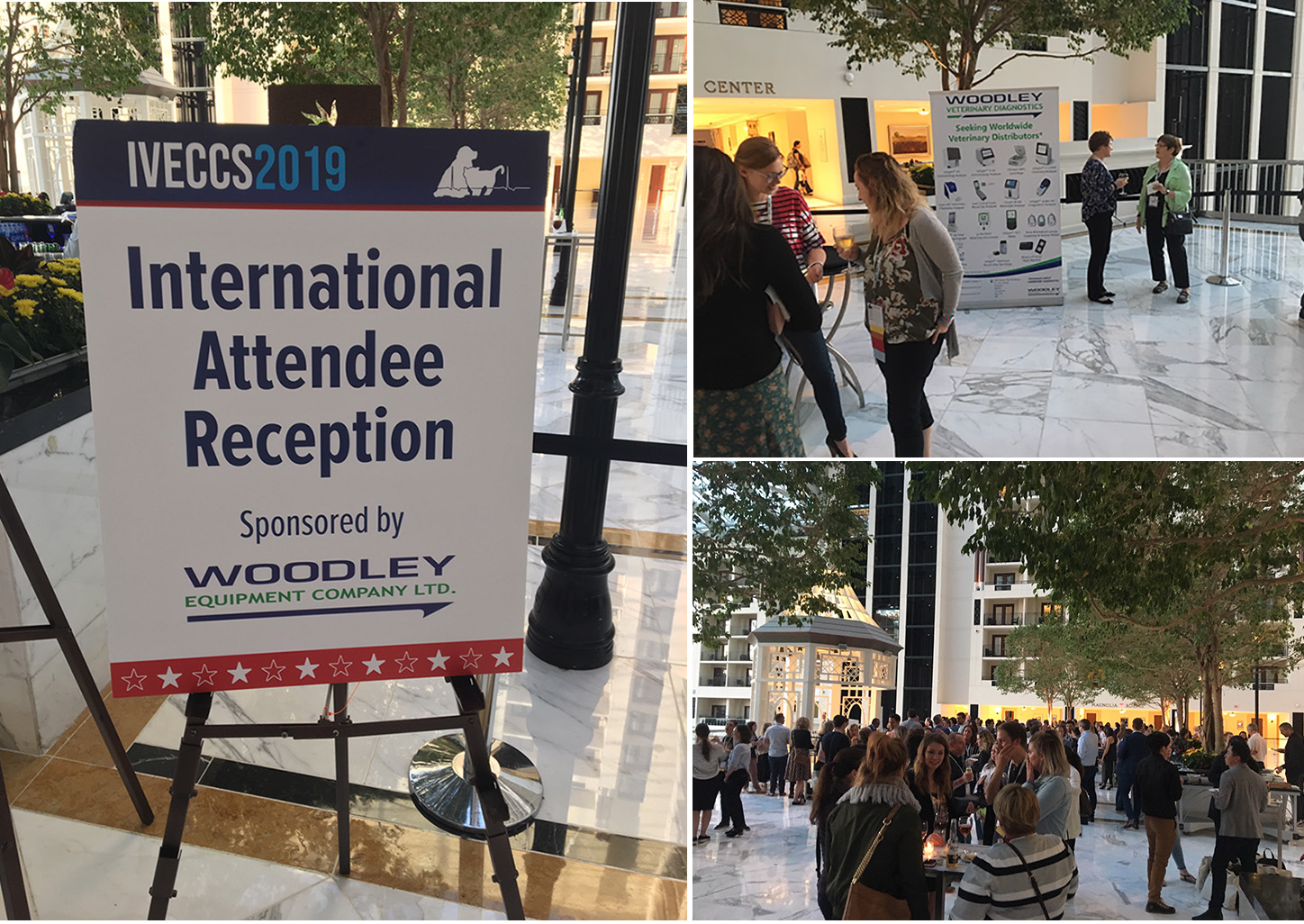 Woodley Sponsor the IVECCS 2019 International Attendee Reception