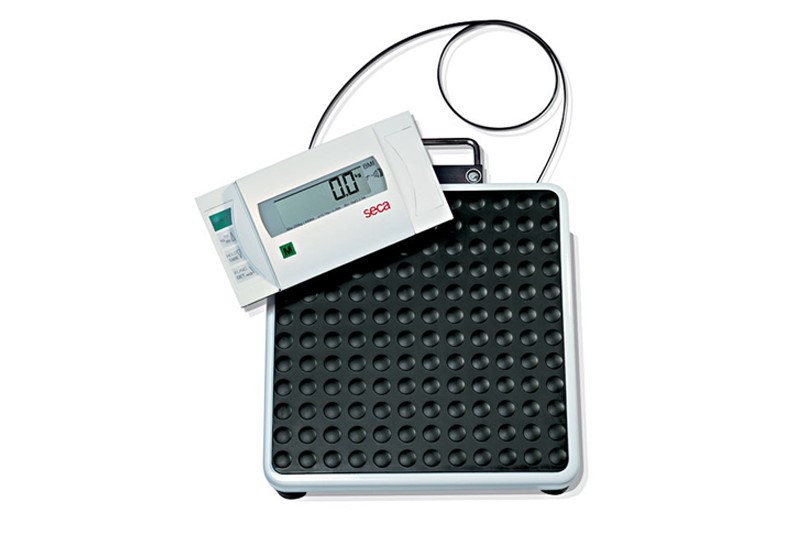 Весы служат. Seca Scales. Весы для взвешивания спортсменов. Аналог на весы для взвешивания органов Seca 856. Оборудование для тестирвания GSM