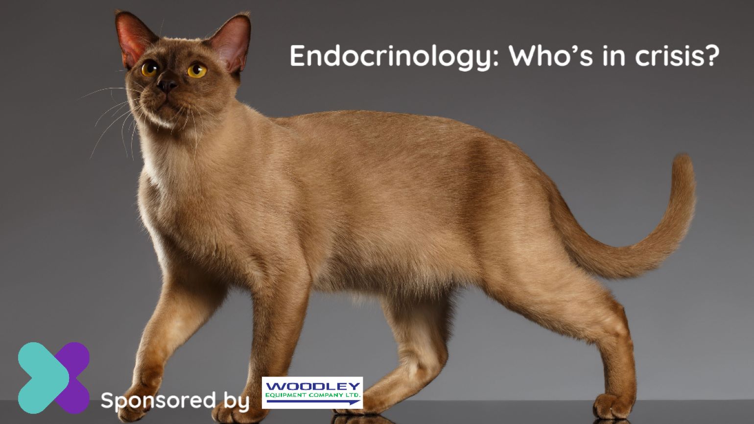 Endocrinology: Who's in Crisis - VTX-CPD Course - Sponsored by Woodley Equipment Company
